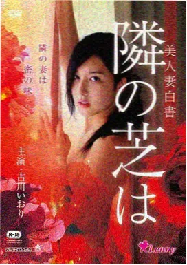 扩展视野时的检索路径示意图